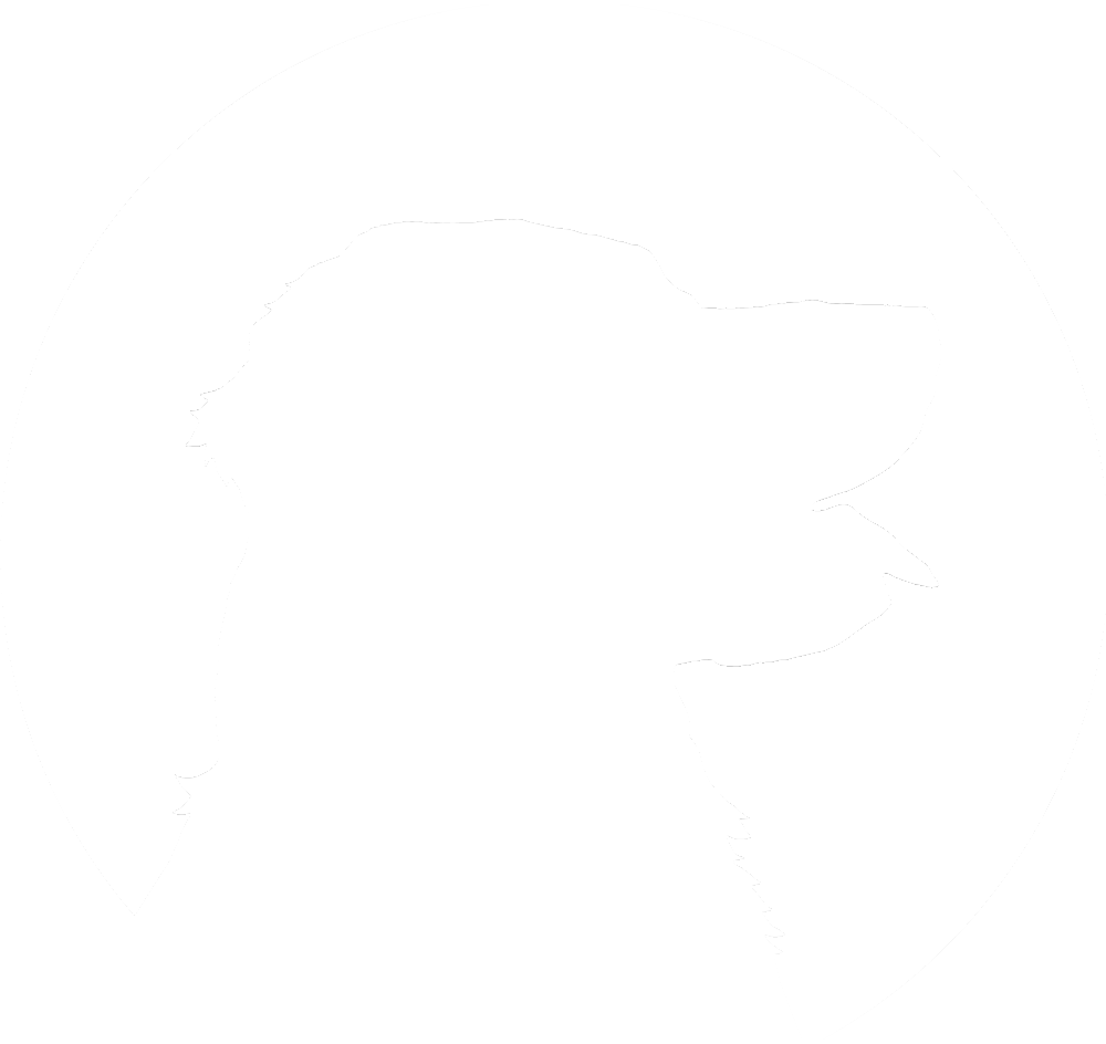 dog crazy logo by Mike Hosier