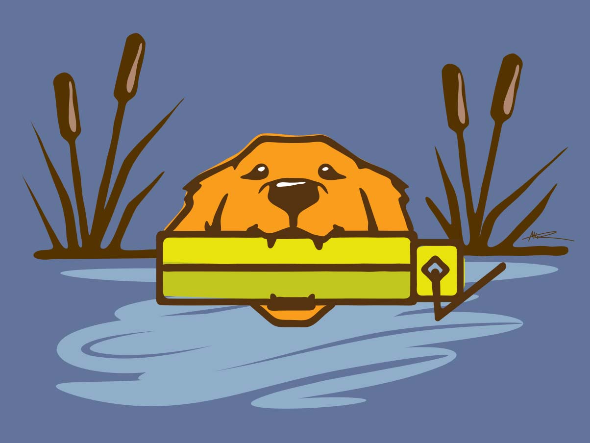swimming golden retriever illustration by mike hosier