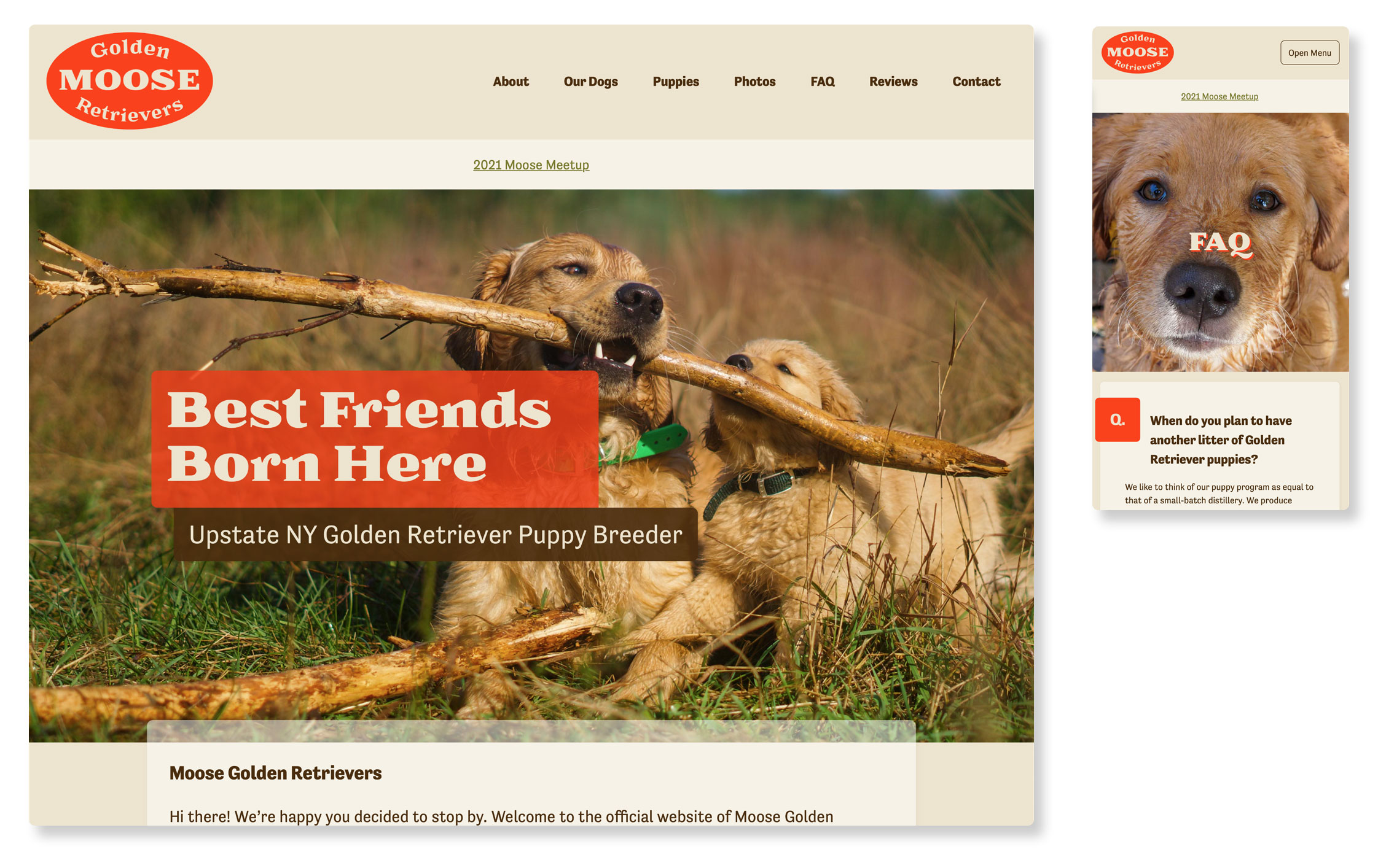golden retriever dog breeder web design by mike hosier