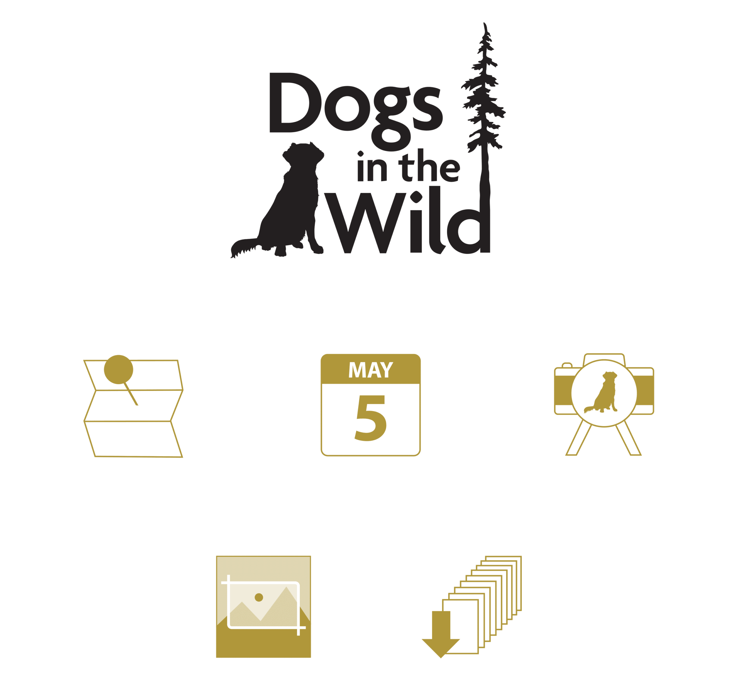dogs photography logo design and icon design