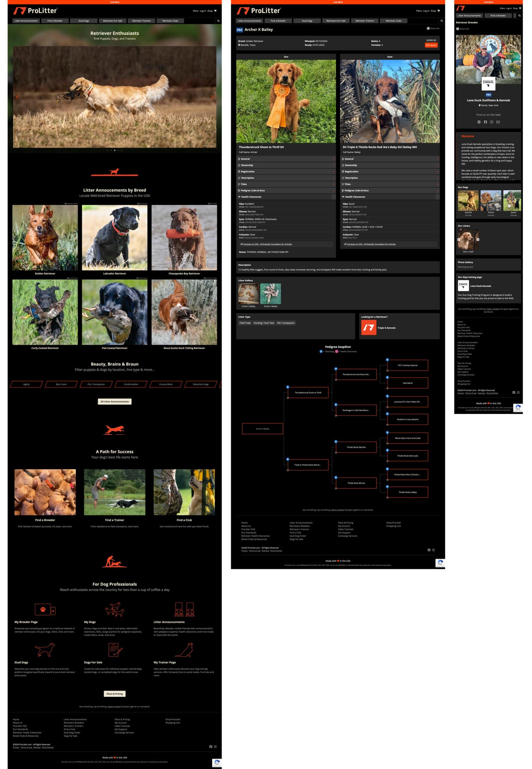 website design for dog breeders, retrievers