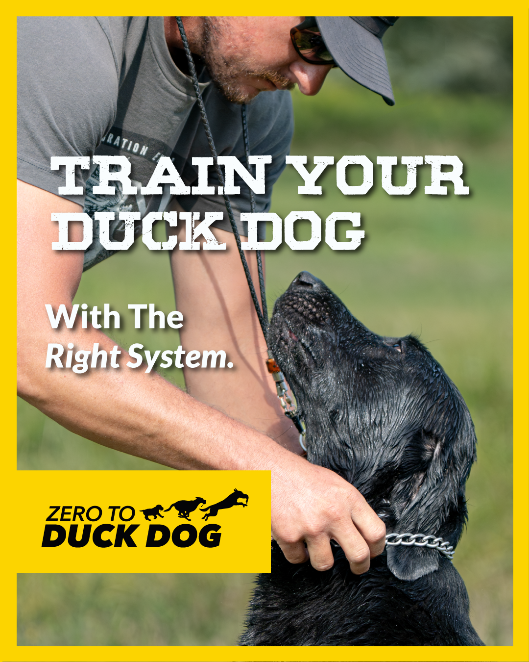 graphic design for gun dog retriever training