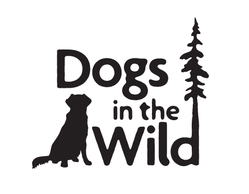 dogs in the wild photography